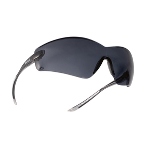 LUNETTE DE PROTECTION COBRA