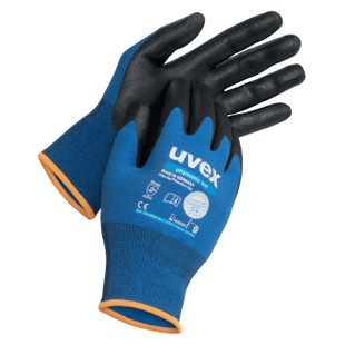 GANT UVEX PHYNOMIC WET