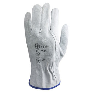 GANT EUROSTRONG 1240